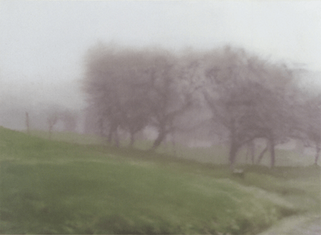 Gerhard Richter, Bühler Höhe, 1991. Museum Frieder Burda, Baden-Baden, Artwork: © 2021 Gerhard Richter